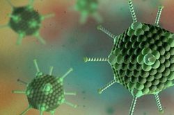 Adenovirus gây bệnh gì, cha mẹ cần làm gì khi trẻ mắc?