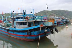 Quảng Ngãi còn 427 tàu cá đang hoạt động trên các vùng biển