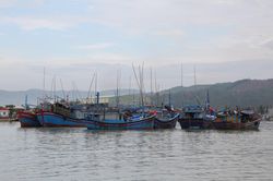 Bình Định khẩn trương triển khai công tác phòng, chống bão Noru