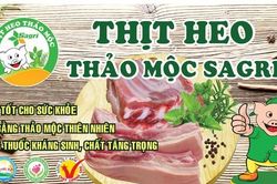 Hãy sử dụng thịt heo thảo mộc SAGRI