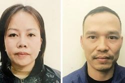 Phá đường dây tổ chức mang thai hộ cho những ông bố trẻ đơn thân