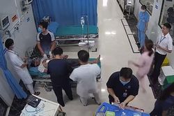 Người đàn ông khỏe mạnh bất ngờ ngừng tim sau 15 phút bị ong đốt