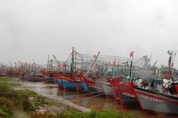 Thanh Hóa: Hoãn các cuộc họp không cấp bách để ứng phó bão số 4