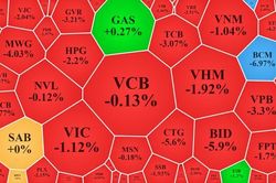 'Siêu bão' càn quét thị trường, VN-Index bốc hơi gần 30 điểm