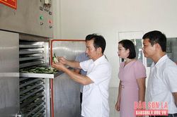 Hỗ trợ ứng dụng thiết bị trong sản xuất chế biến hoa quả