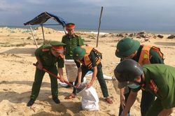 Lực lượng vũ trang Thừa Thiên-Huế tỏa xuống cơ sở giúp dân chống bão