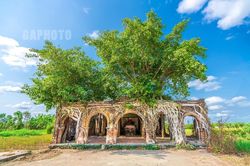 Vẻ cổ kính bí ẩn ở ngôi đình trăm tuổi 'hợp nhất' với cây bồ đề