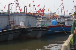 Nghệ An: Khẩn trương kêu gọi tàu thuyền về nơi trú tránh an toàn
