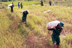 Bộ đội giúp dân neo đậu tàu thuyền, gia cố nhà cửa, thu hoạch hoa màu trước siêu bão Noru