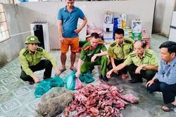 Mua hàng trăm chim trời về chế biến món nhậu thì bị phát hiện