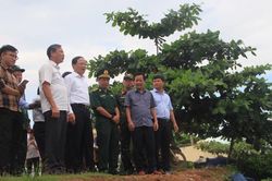 Bình Định: Cán bộ, công chức, viên chức… nghỉ làm việc ngày 28/9 để tránh bão