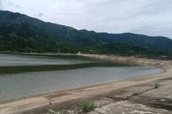 Vạn Ninh: 100% phương tiện tàu thuyền đã vào bờ