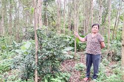Hồi âm vụ tranh chấp đất đai ở thôn Vĩnh Đại, xã Cam Hiếu (Cam Lộ): Người tranh chấp rút đơn kiện