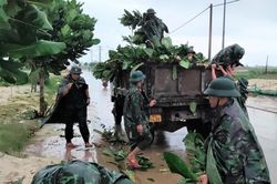 Đảo Lý Sơn gió giật cấp 8, cấm người dân ra đường từ 10h ngày 27/9