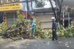 Học sinh Đà Nẵng sẽ đi học vào ngày 29-9