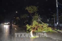 Bão vẫn đang phức tạp, các địa phương phải tiếp tục quản lý chặt, không chủ quan, không lơ là