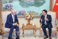 Việt Nam luôn coi trọng tăng cường quan hệ Đối tác chiến lược với Đức