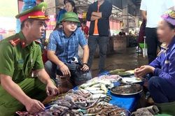 Cảnh sát nỗ lực cứu chim trời