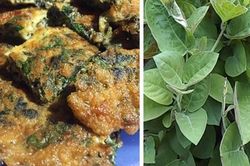 5 lưu ý cần phải biết khi sử dụng lá mơ lông cho người bệnh dạ dày để tránh tác dụng phụ!