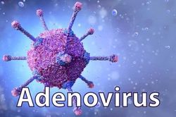 Bình Thuận bác bỏ thông tin có 8 ca mắc virus Adeno