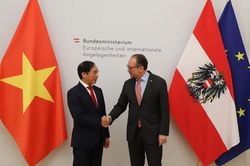 Bộ trưởng Ngoại giao Bùi Thanh Sơn hội đàm với Bộ trưởng Ngoại giao Áo