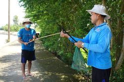 'Săn' rắn mối mùa nước nổi