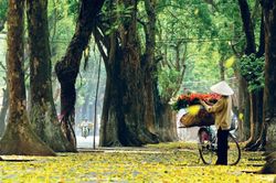 Hiện vật của mùa thu