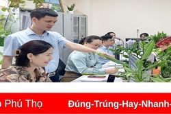 Kỳ II: Cần 'liều thuốc kháng sinh' mạnh
