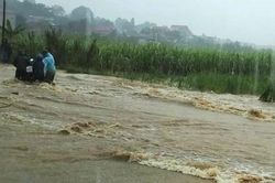 Thanh Hóa: Người đàn ông bị nước lũ cuốn trôi trong lúc đi thăm đồng