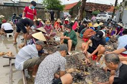 Hàng nghìn con gà bị chết do mưa lũ, cả làng kéo đến giúp sơ chế