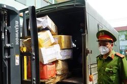 TPHCM: Sử dụng lò thiêu để tiêu hủy 1,5 tấn ma túy tránh ô nhiễm