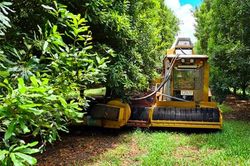 Công nghệ robotics- tương lai của nền nông nghiệp Australia