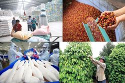 Xuất khẩu sang Nga có dấu hiệu hồi phục nhưng vẫn bấp bênh