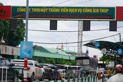 TPHCM: Tạm đình chỉ công tác Phó Giám đốc phà Cát Lái