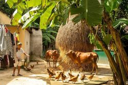 Thơ: Ta về nơi mẹ cha ta