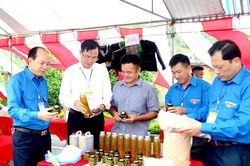 Hà Giang: 8 giải pháp nâng cao chất lượng hoạt động khuyến công
