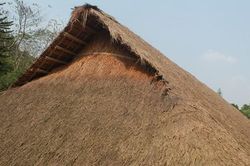 Thời nhà tranh vách đất