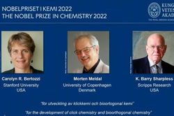 Giải Nobel Hóa học 2022 vinh danh 3 'cha mẹ' của hóa học nhấp chuột