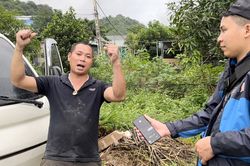 Bám trần nhà, đu dây điện chạy lũ đuổi trong đêm