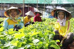 Thúc đẩy nông nghiệp tái sinh, giảm phát thải khí nhà kính và cải thiện sinh kế của nông dân