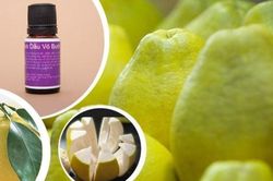 Hướng dẫn cách làm tinh dầu bưởi tại nhà đơn giản