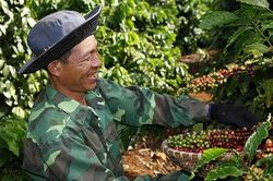 NESCAFÉ sẽ đầu tư hơn một tỷ franc Thụy Sĩ cho NESCAFÉ Plan 2030