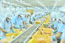 Nam Việt (ANV) chi hơn 132,1 tỷ đồng trả cổ tức năm 2021