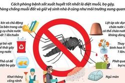 Sốt xuất huyết tại TPHCM tăng hơn 7 lần so với cùng kỳ, 25 người đã tử vong
