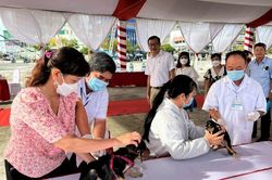 Bến Tre tập trung phòng, chống bệnh dại