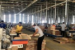 Việt Nam chưa có thông tin về việc có gỗ Nga trong sản phẩm gỗ xuất sang Mỹ