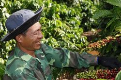 Nestlé công bố kế hoạch NESCAFÉ Plan 2030