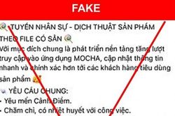 Cảnh báo tin nhắn lừa đảo và thông báo tuyển dụng giả mạo Nestlé