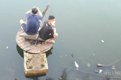 Nguyên nhân nào khiến cá chết hàng loạt nổi trắng mặt hồ Tây?