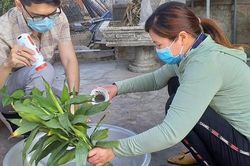 Ca tử vong đầu tiên do sốt xuất huyết ở Phú Yên